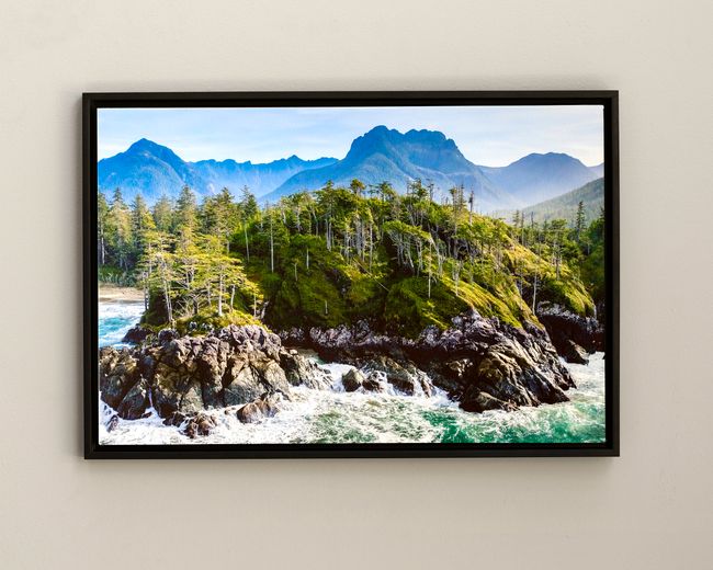 Framed Canvas Print