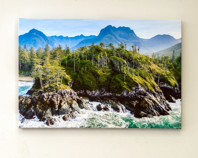 Canvas Print