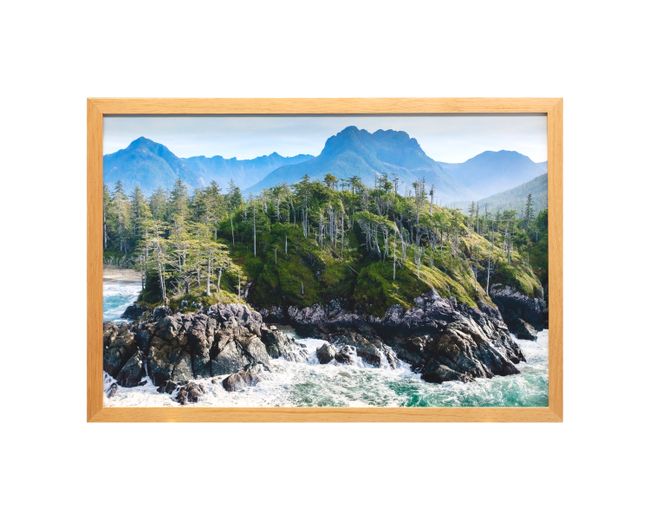 Framed Fine Art Print