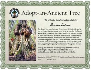 Adopt-a-Tree Certificate