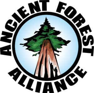 Donate to the Ancient Forest Alliance