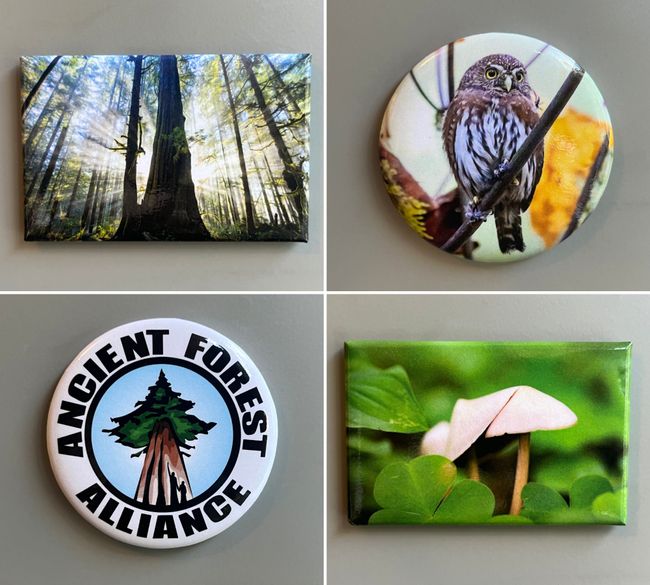 Biodiversity Bundle of Magnets