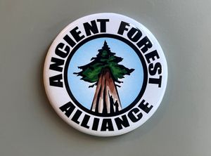 Magnet - Circular AFA logo
