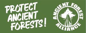Sticker - Protect Ancient Forests