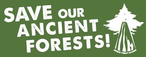 Sticker - Save Our Ancient Forests *Sorry sold out - more coming soon!