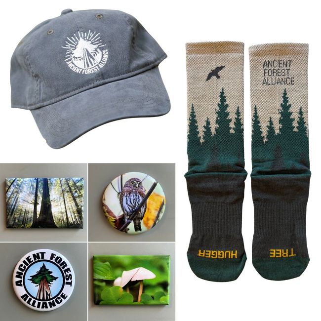 Summer Saver Set