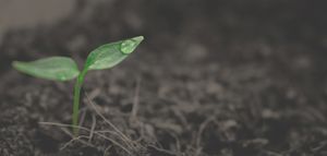 Encouraging Growth