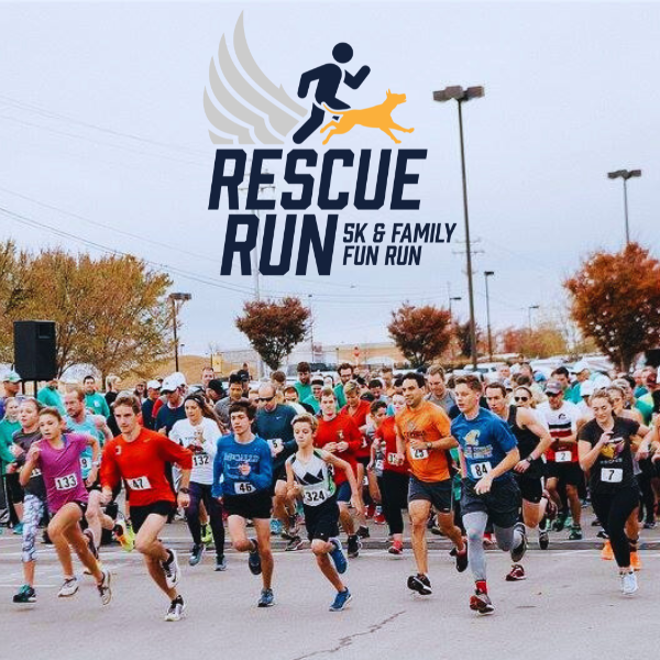 Rescue Run Sponsorship 2023 — Animal Rescue Corps
