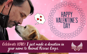 Happy Valentine's Day! (Kinsley version)