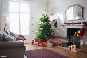 Give the Gift of a Loving Home