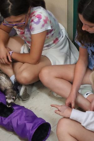 Extended Care Add-On for Two-Day Camp