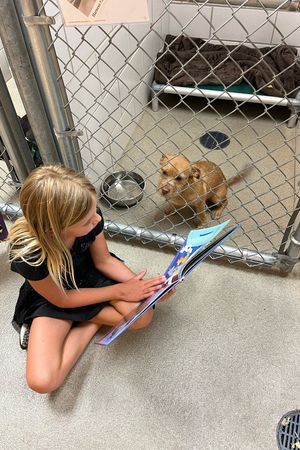 HAWS Reading & Rescues | August 17-21