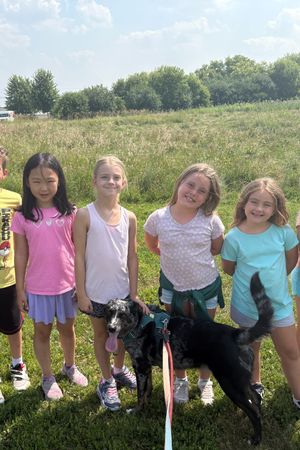 HAWS Shelter Heroes | July 6-10