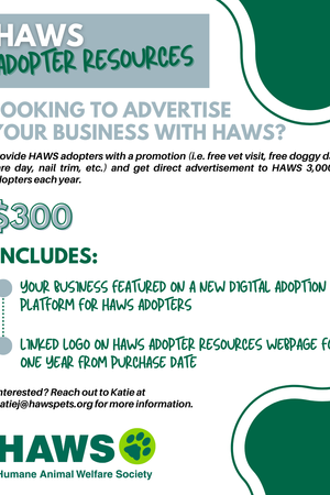 Business Advertisement
