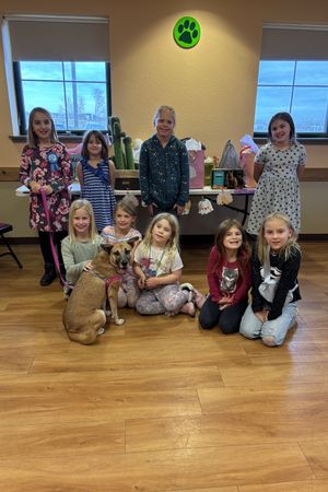 HAWS Birthday Party: June 1st 11:00-1:00