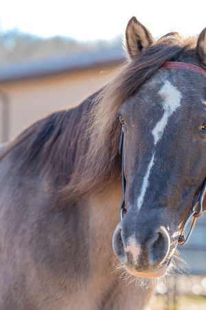 Sponsorship for Cody's Care