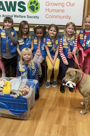 HAWS Scout Programs Payment