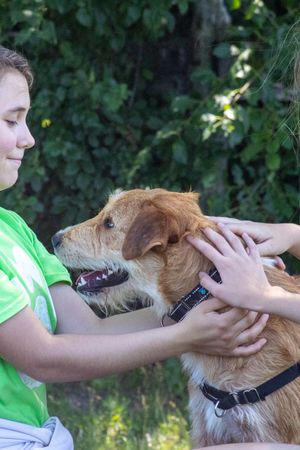 SCA Kids N Critters One Day Camp (ages 10-14) | July 1