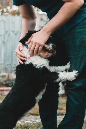 General Tribute Gifts