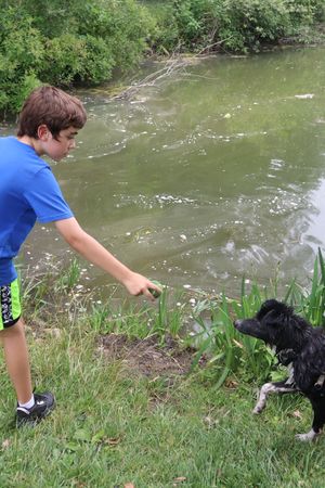 SCA Gone to the Dogs (ages 10-14) | June 10-14