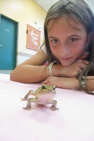 Kids N Critters One-Day Camp (ages 7-9) | July 1