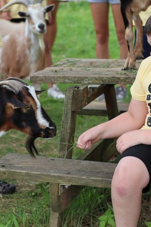 SCA Kids N Critters One-Day Camp | June 30