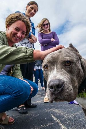 Education Department Gift Card