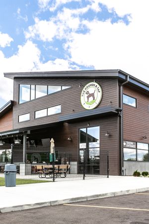 Puppy Basics at Hounds & Tap : June 6