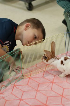 Kids N Critters | June 16-20