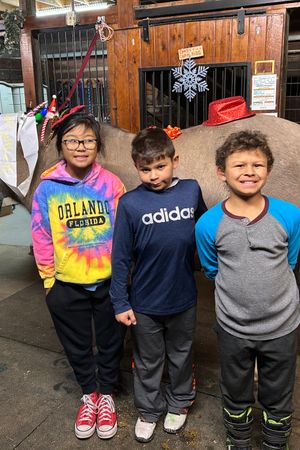 SCA Birthday Party Inquiry