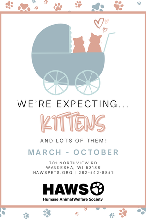 We're Expecting!