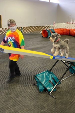 Intermediate Agility: August 11 at 6:30PM