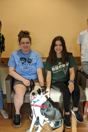 HAWS High School Service Groups