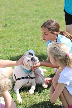 SCA Gone to the Dogs | June 16-20