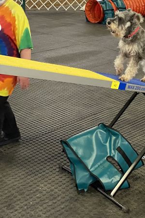 Continuing Agility: Sept 4