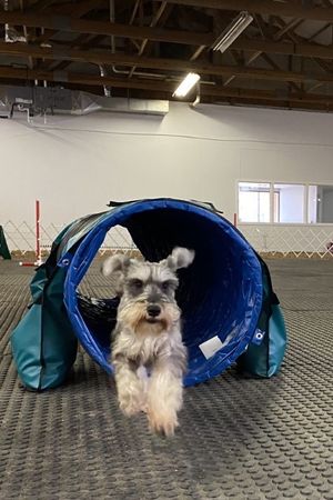 Intro to Agility: September 7