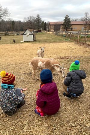 Family Fun on the Farm | Fall 2022
