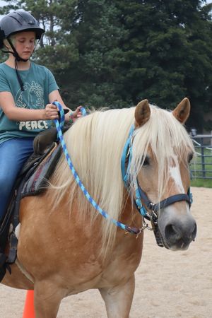 SCA Horse Crazy Two-Day Camp (Ages 10-14) July 18-19