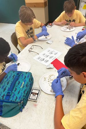 Young Scientist Camp | June 23-27
