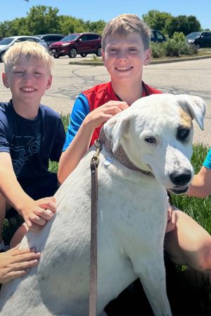 Advanced Gone to the Dogs | August 18-22