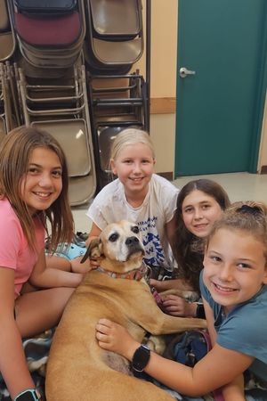 Gone to the Dogs | July 7-11