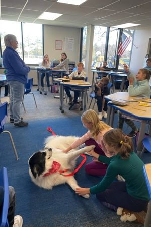 Paws And Learn Program 2025