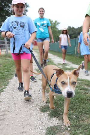 HAWS Summer Camp T-Shirt Payment