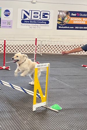 Agility Rental - September 4