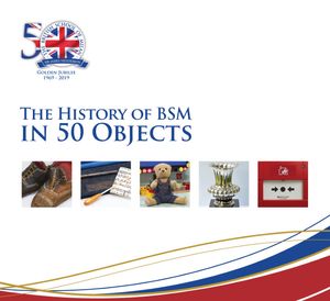 The History of BSM in 50 Objects