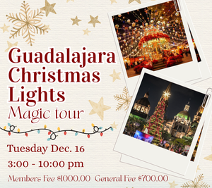 Guadalajara Christmas Lights  12/16/25