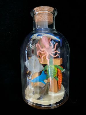 Ocean Bottle Whimsy by Tim Ray Fisher