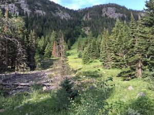 Unplug & Connect Montana Backcountry Experience 2026