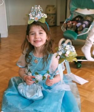 Tara Glick's Fundraiser