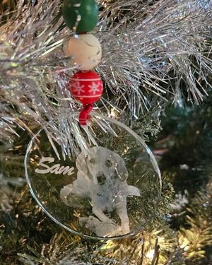 Holiday Ornament 🎄